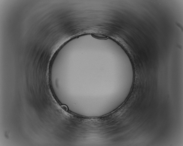 X0000100470902200807031825