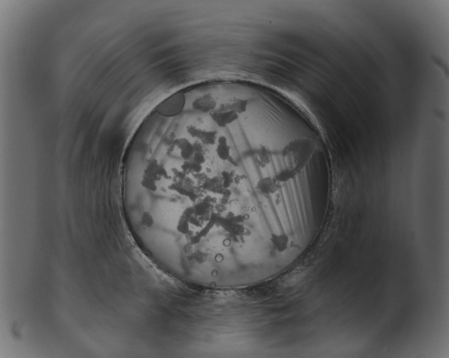 X0000100470903200807031825