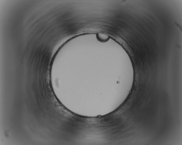 X0000100470904200807031825