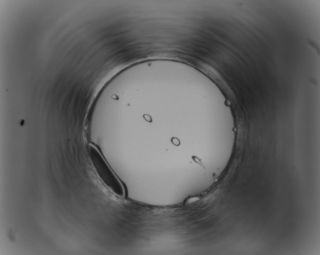 X0000100470908200807031824