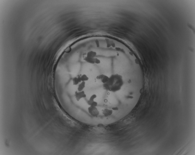 X0000100470911200807031824