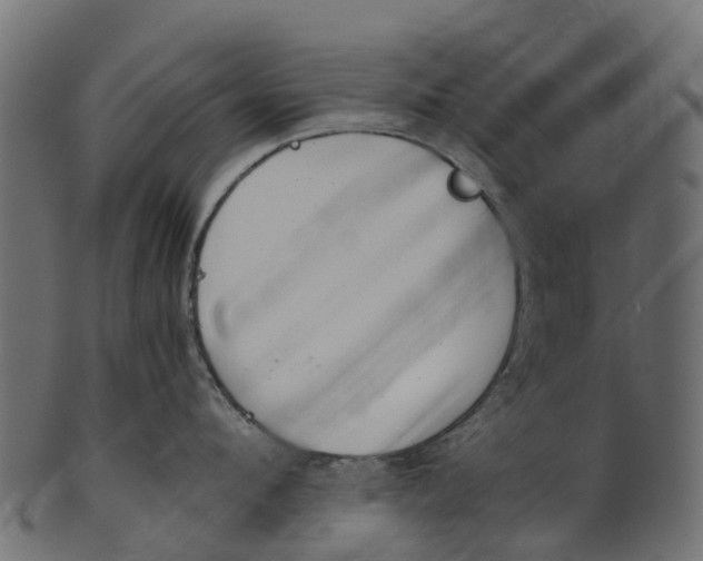 X0000100470912200807031824