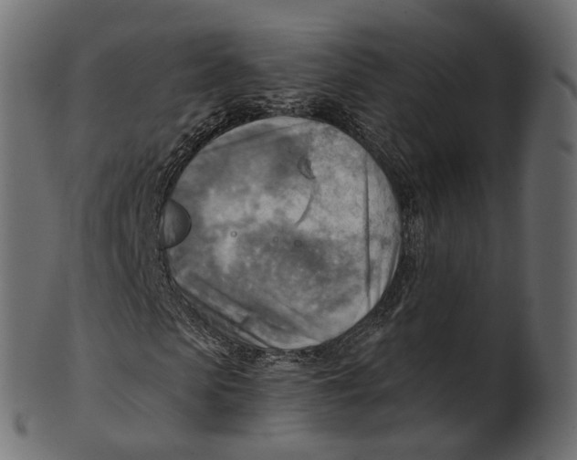 X0000100470913200807031824