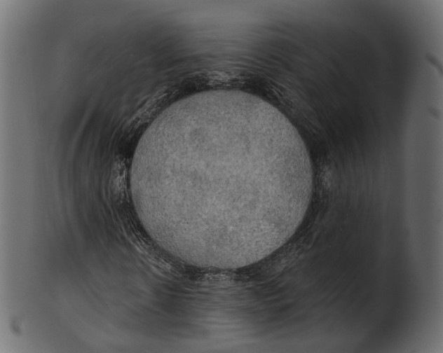 X0000100470914200807031824