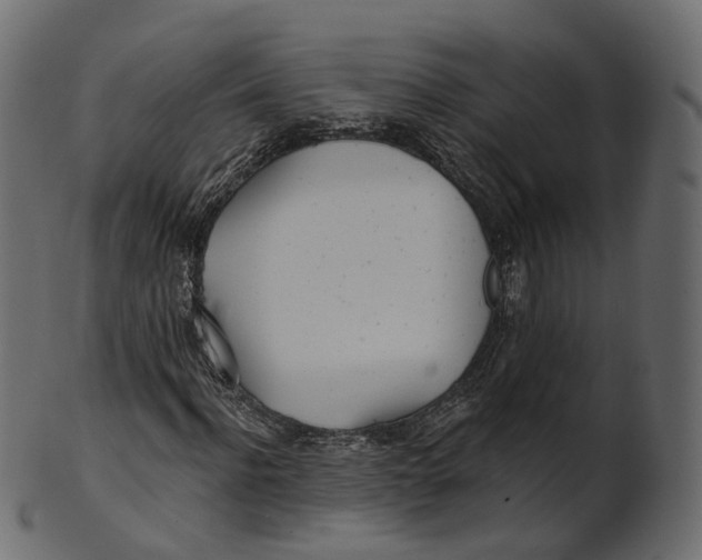 X0000100470916200807031824