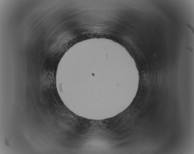 X0000100470918200807031824