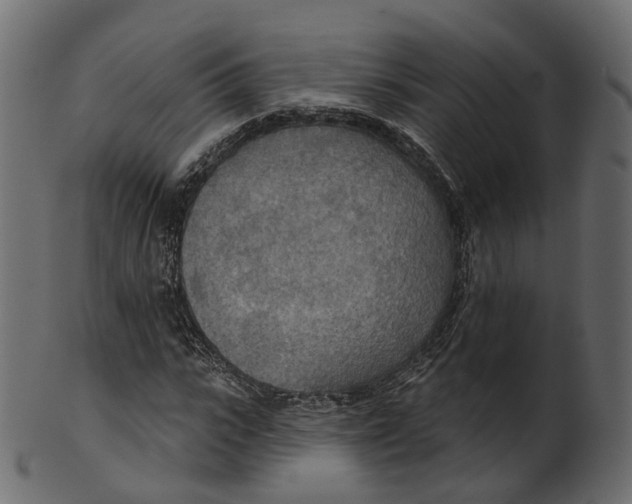 X0000100470919200807031824