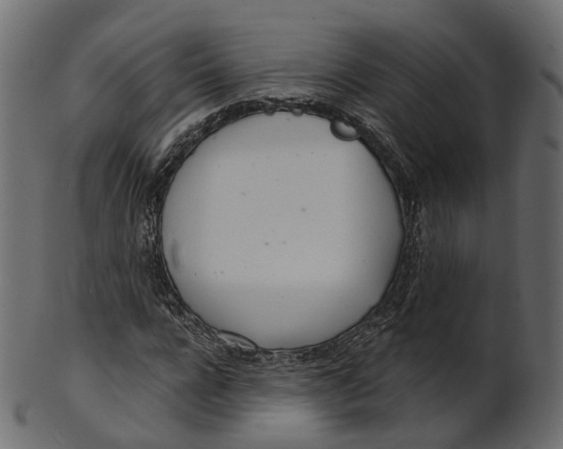 X0000100470920200807031824