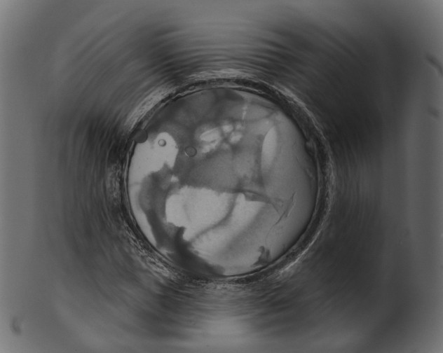 X0000100470921200807031824