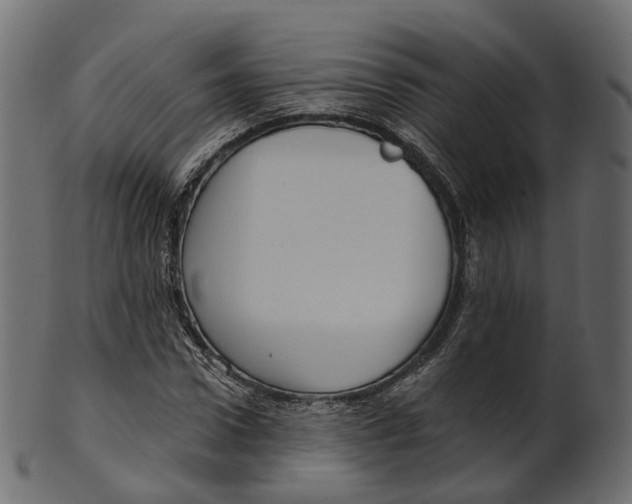 X0000100470922200807031824