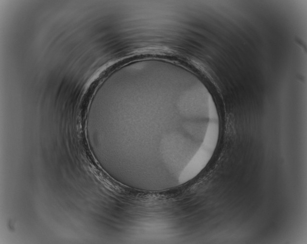 X0000100470923200807031824