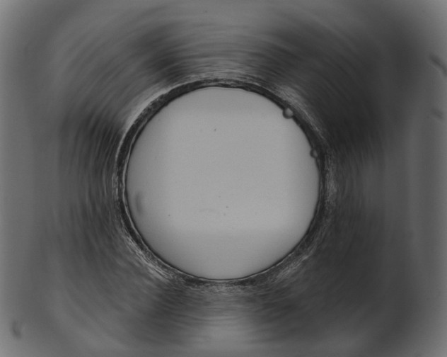 X0000100470924200807031824