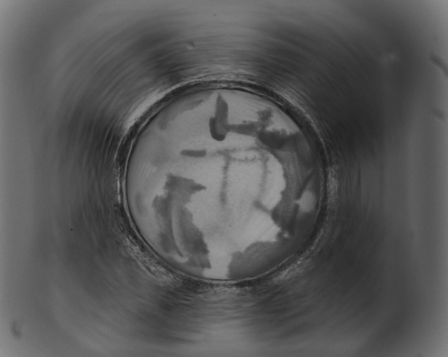 X0000100470925200807031824