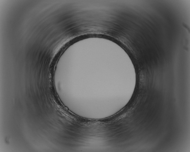 X0000100470926200807031824