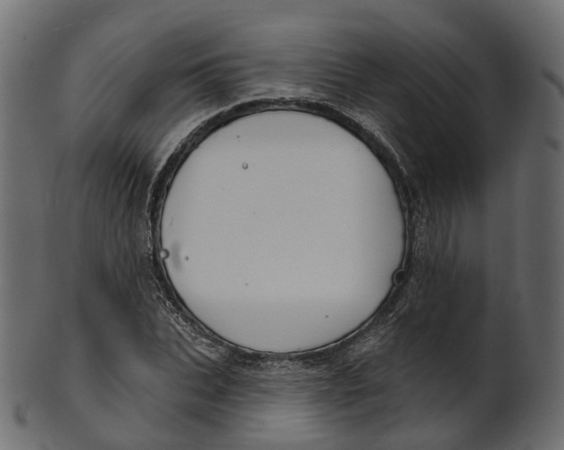 X0000100470927200807031824