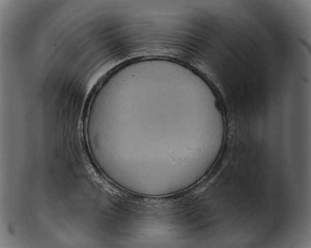 X0000100470928200807031824