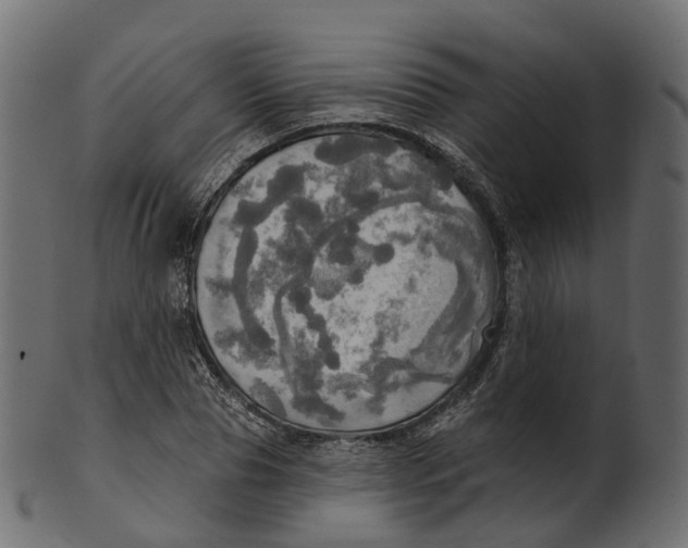 X0000100470929200807031824