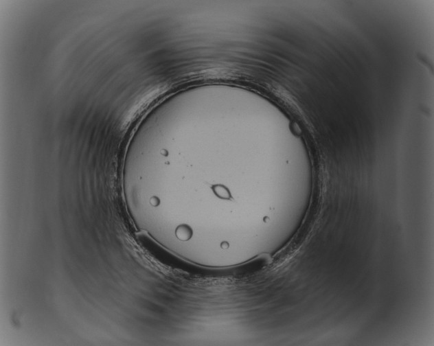 X0000100470930200807031824