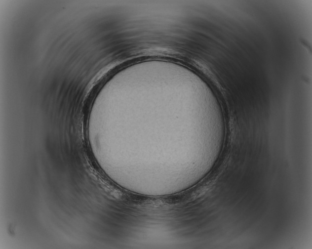 X0000100470931200807031824