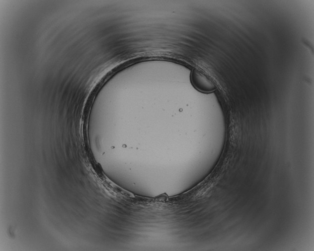 X0000100470932200807031824