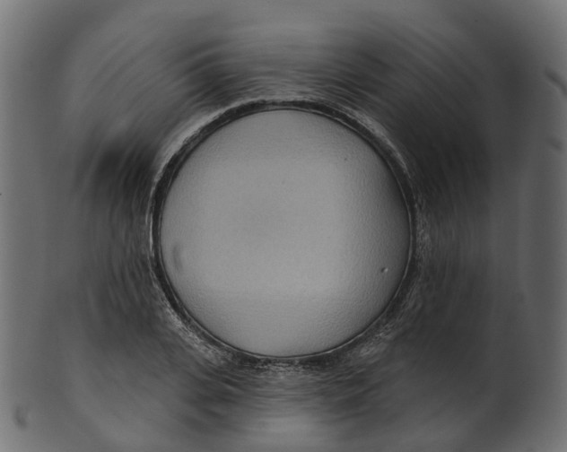 X0000100470935200807031824