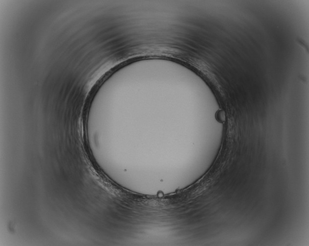 X0000100470936200807031824