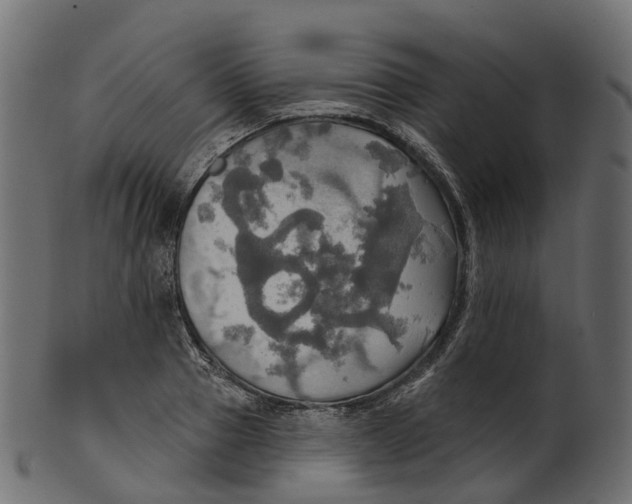 X0000100470937200807031824