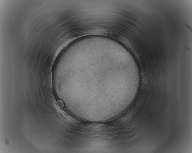 X0000100470939200807031824