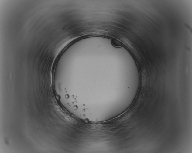 X0000100470940200807031824