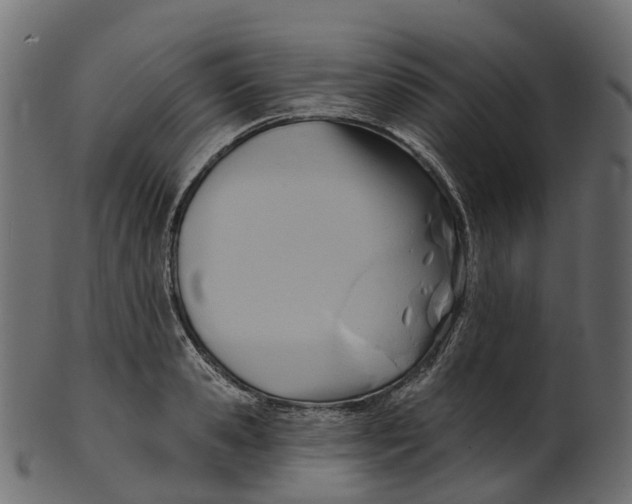 X0000100470941200807031824