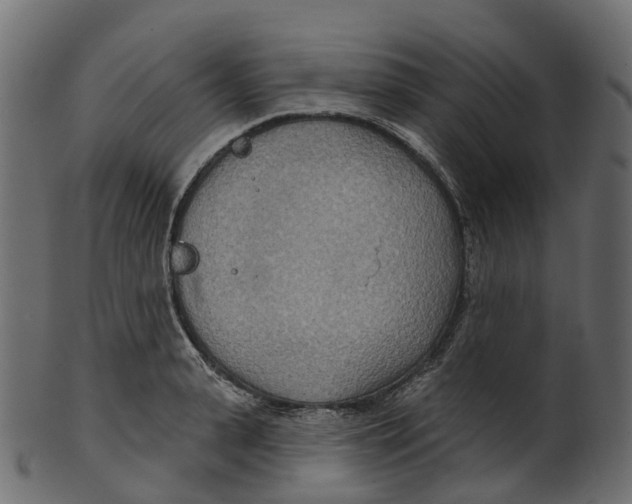 X0000100470943200807031824