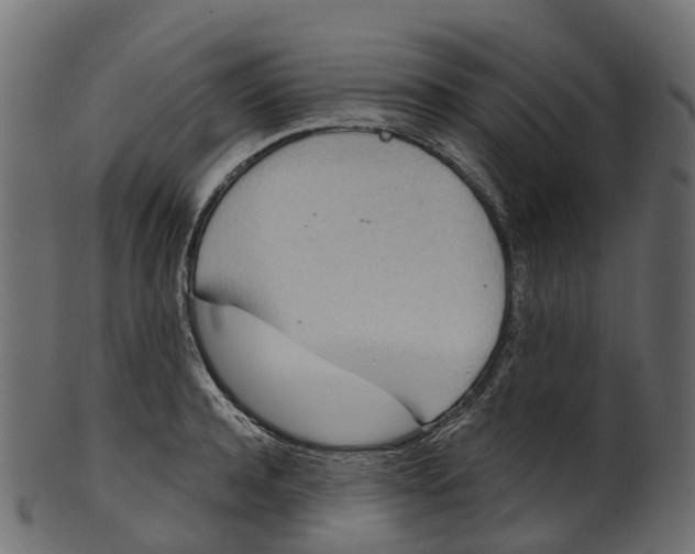 X0000100470944200807031824