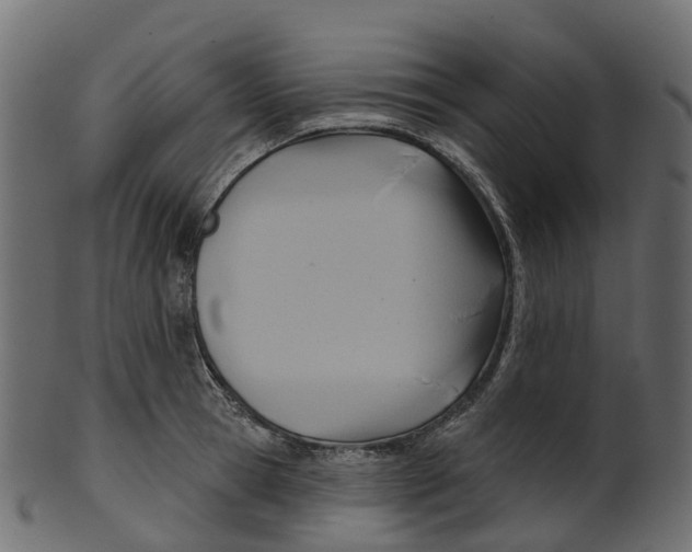 X0000100470945200807031824