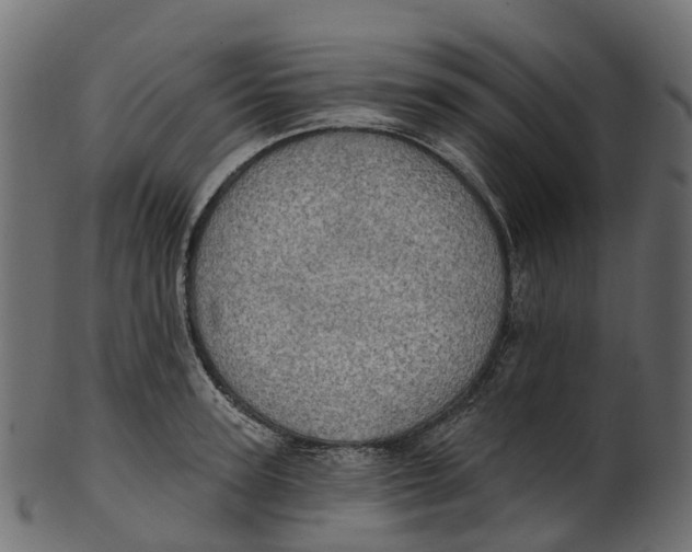 X0000100470947200807031824