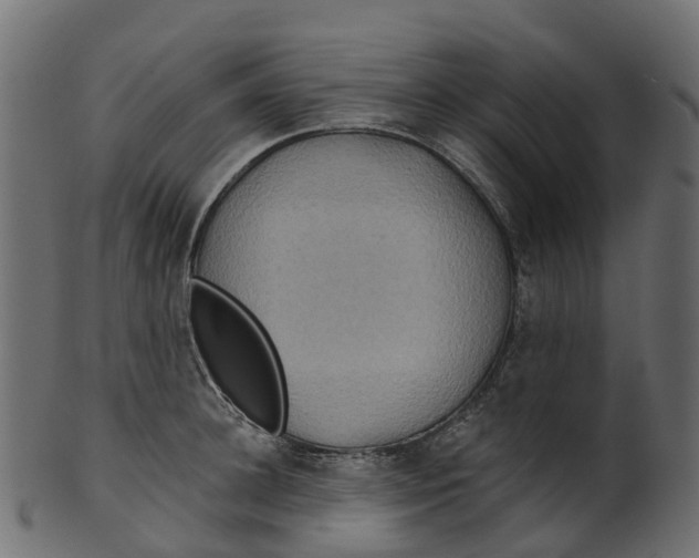 X0000100470948200807031824