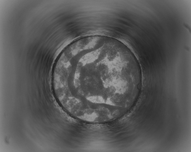 X0000100470949200807031824