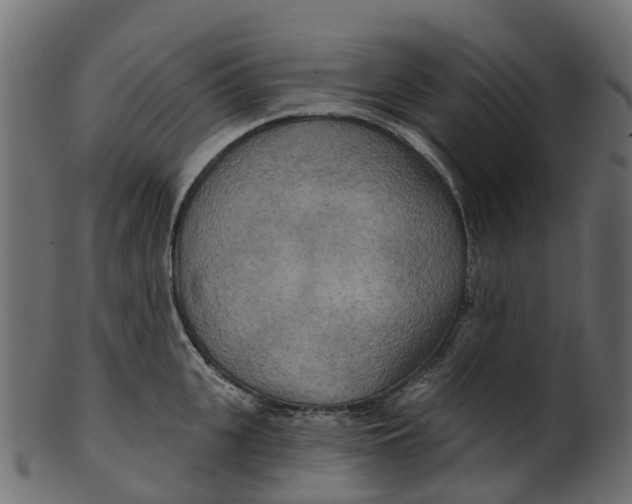 X0000100470951200807031824