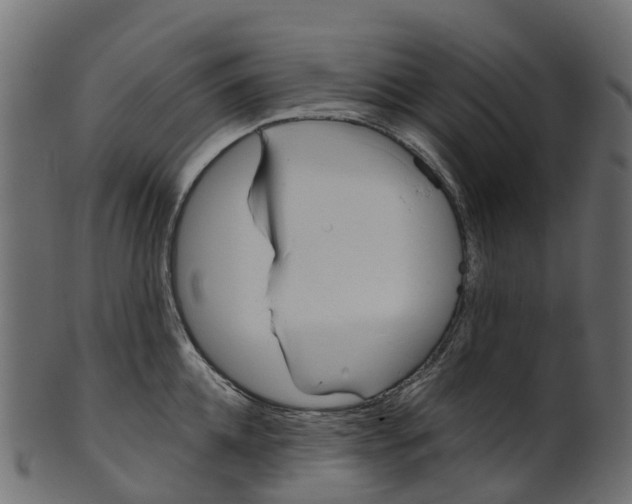 X0000100470952200807031824