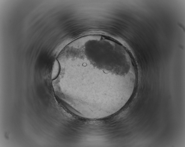 X0000100470953200807031824