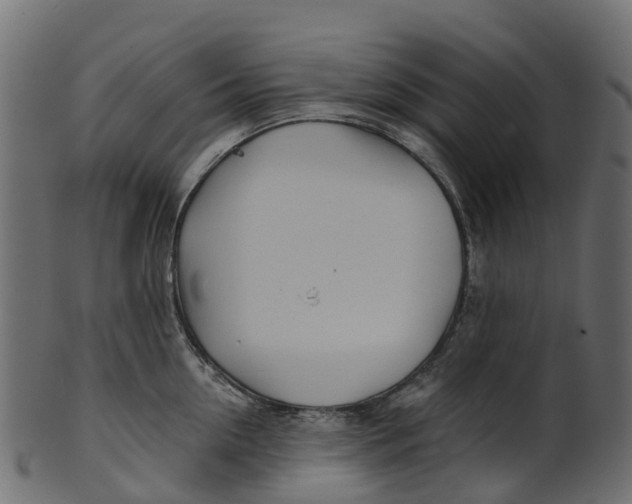 X0000100470954200807031824