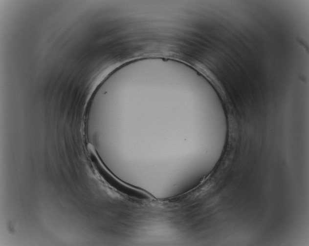 X0000100470956200807031824