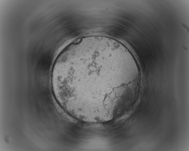 X0000100470957200807031824