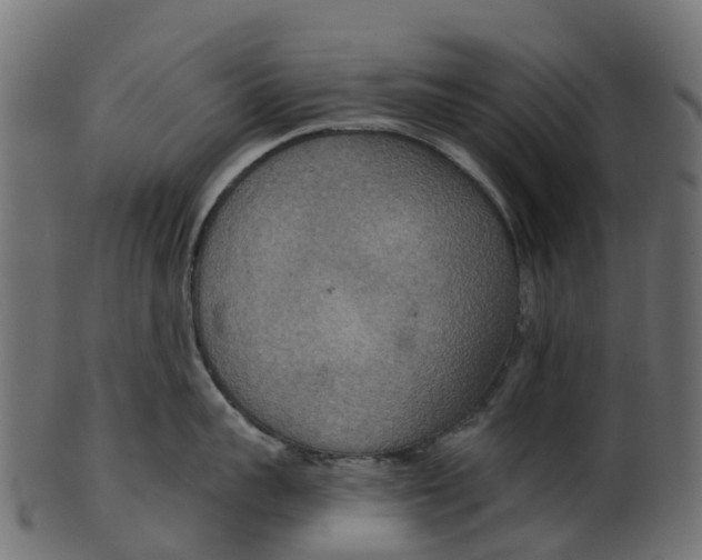 X0000100470959200807031824