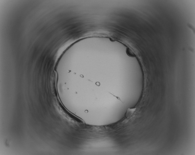 X0000100470960200807031824