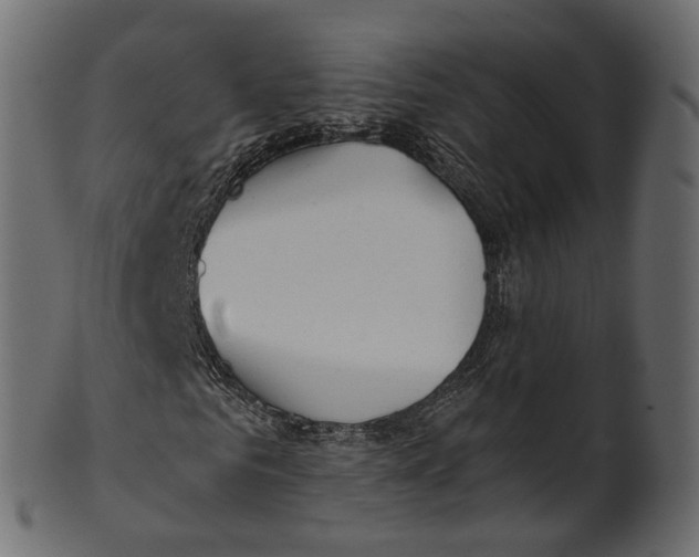 X0000100470961200807031823