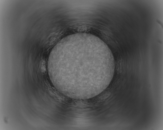 X0000100470962200807031823