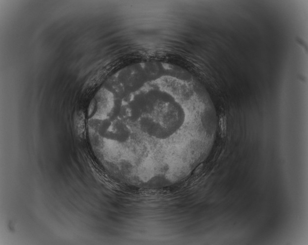 X0000100470963200807031823