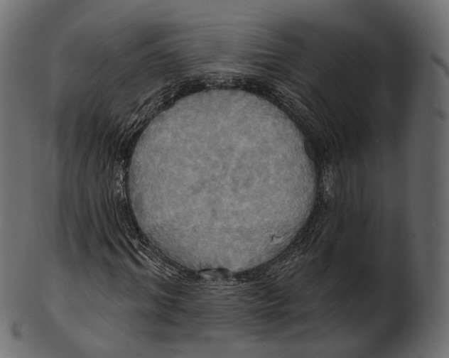 X0000100470964200807031823