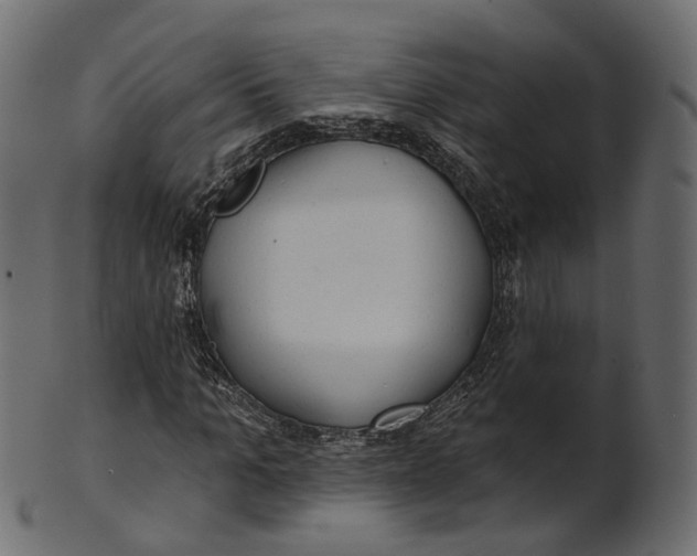 X0000100470965200807031823