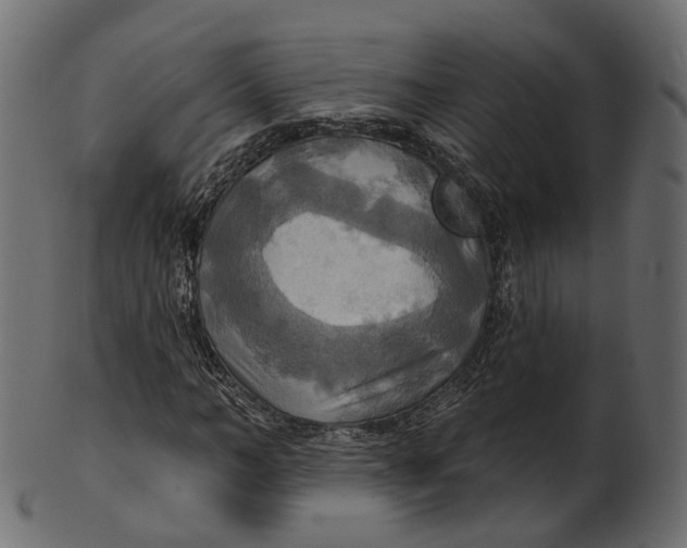 X0000100470966200807031823